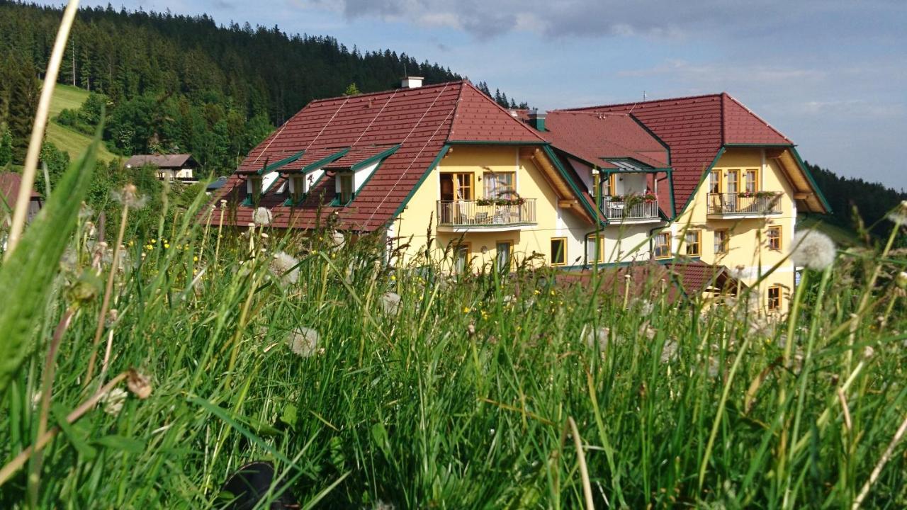 Wildwiesenhof Miesenbach  外观 照片