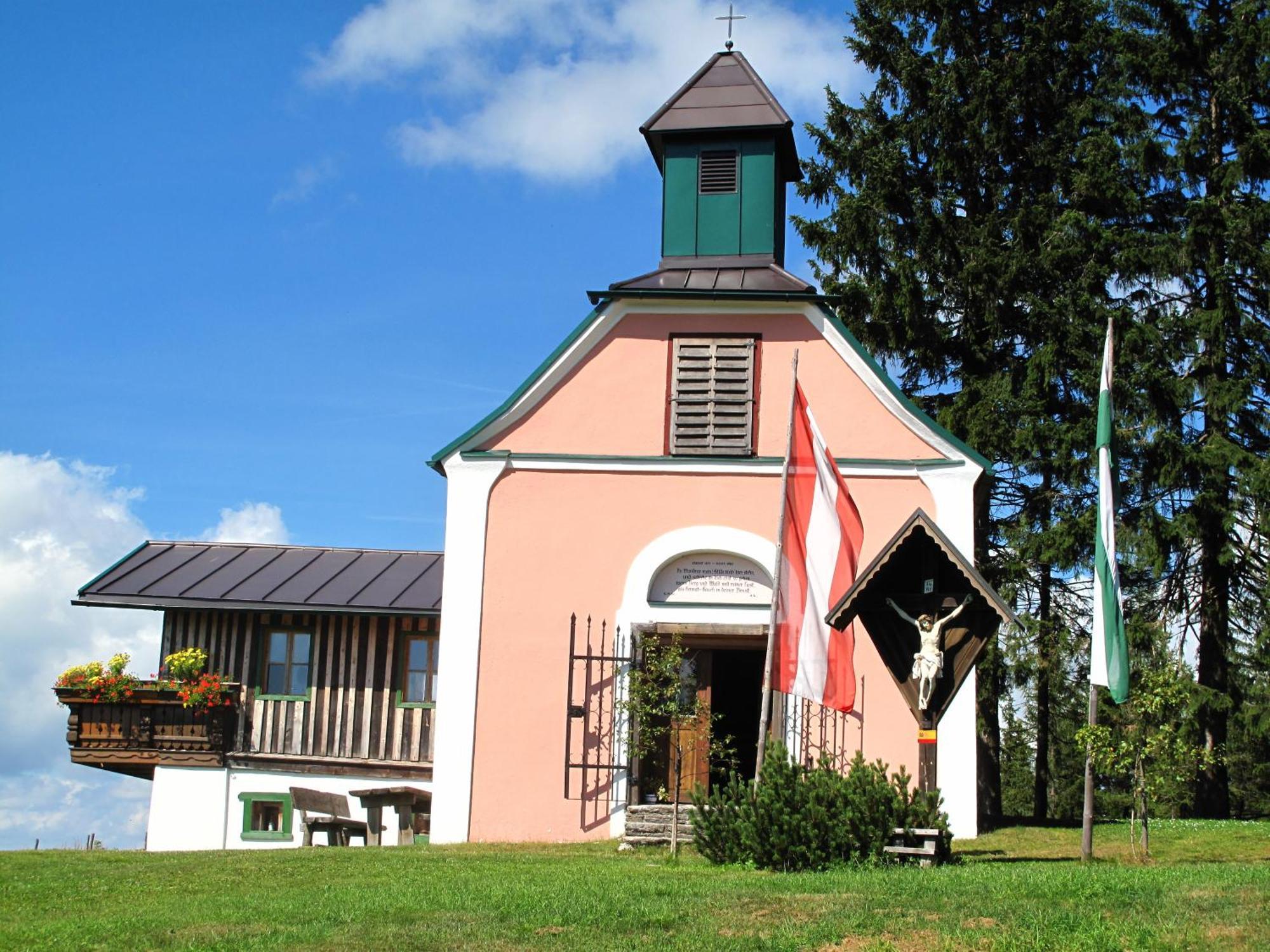 Wildwiesenhof Miesenbach  外观 照片