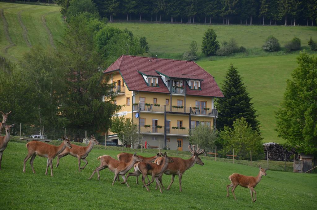 Wildwiesenhof Miesenbach  外观 照片